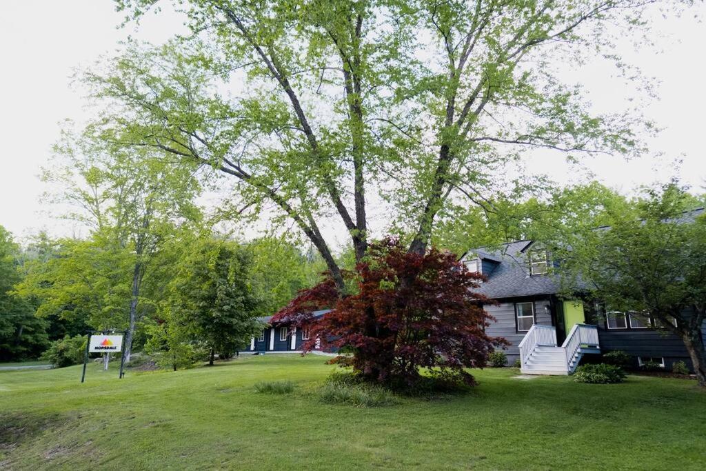 The Norsdale Plus Cmyk Motel On 10 Acres In Phoenicia Exterior photo